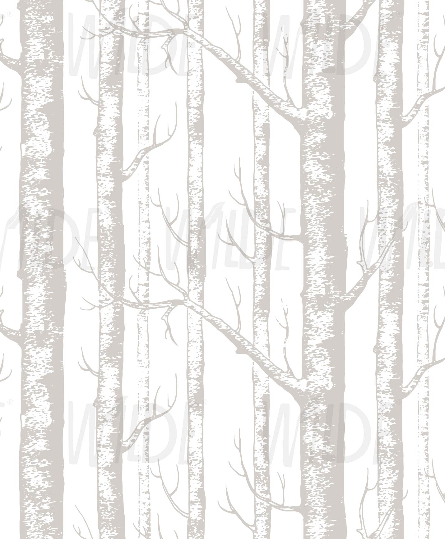 Birch Trees, Neutral Wallpaper Mural