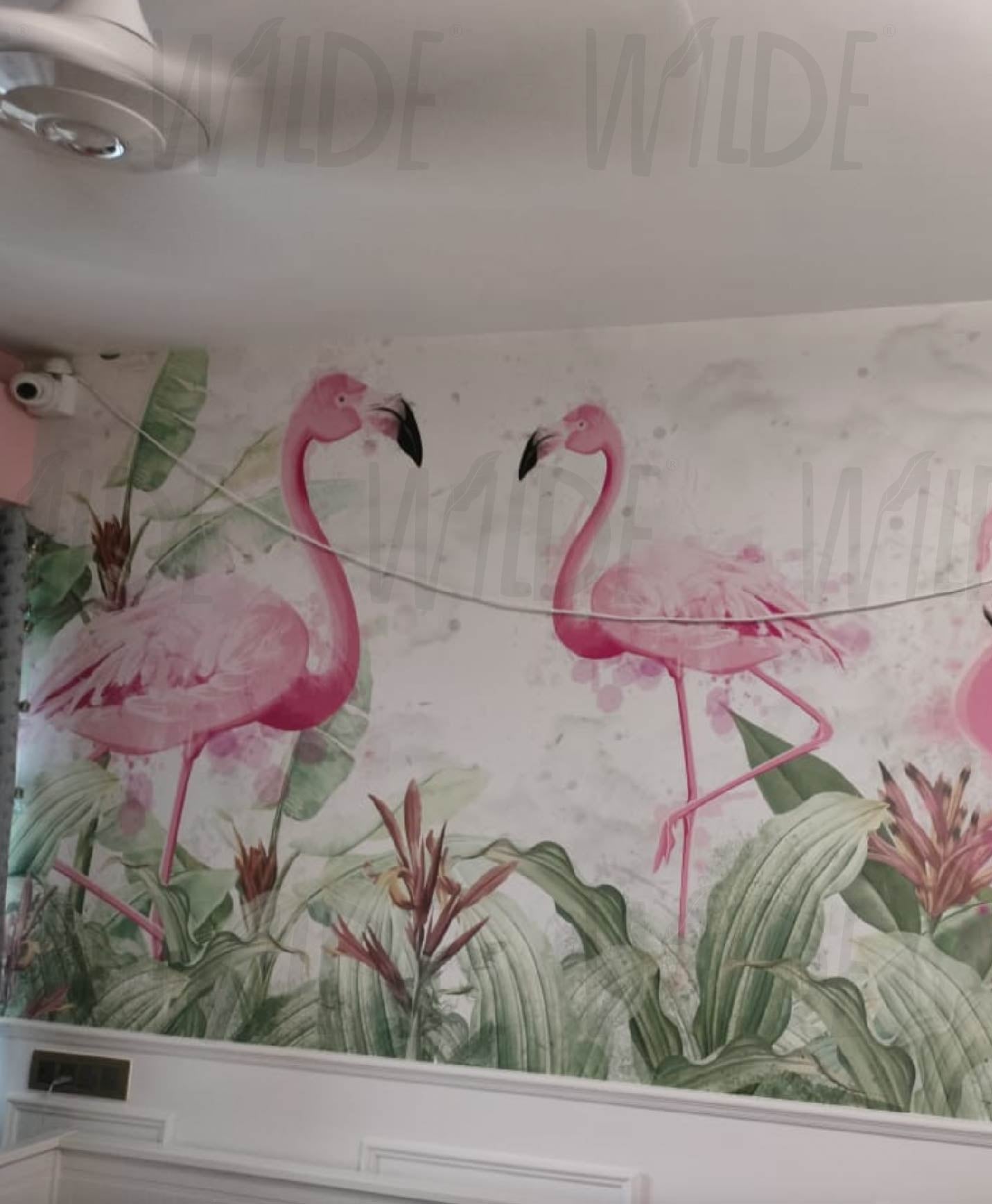 Flamingo Fun, Kids Wallpaper for Girls