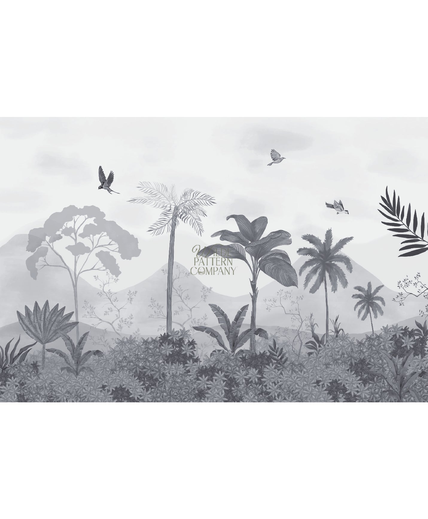 Palm & Mist (Black & White)