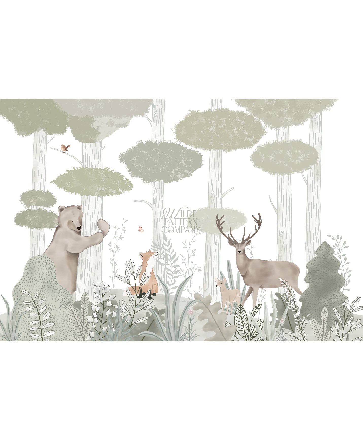 Safari Dreamer-II