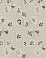 Maharaja's Love Notes, India in the Wilde Wallpaper