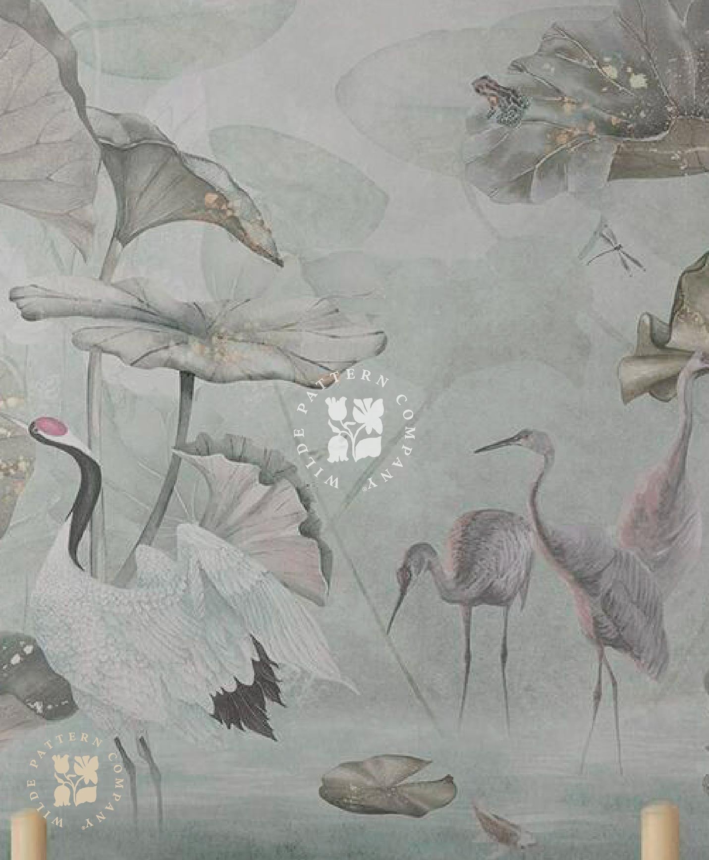 Water Lillies, Oriental Wallpaper