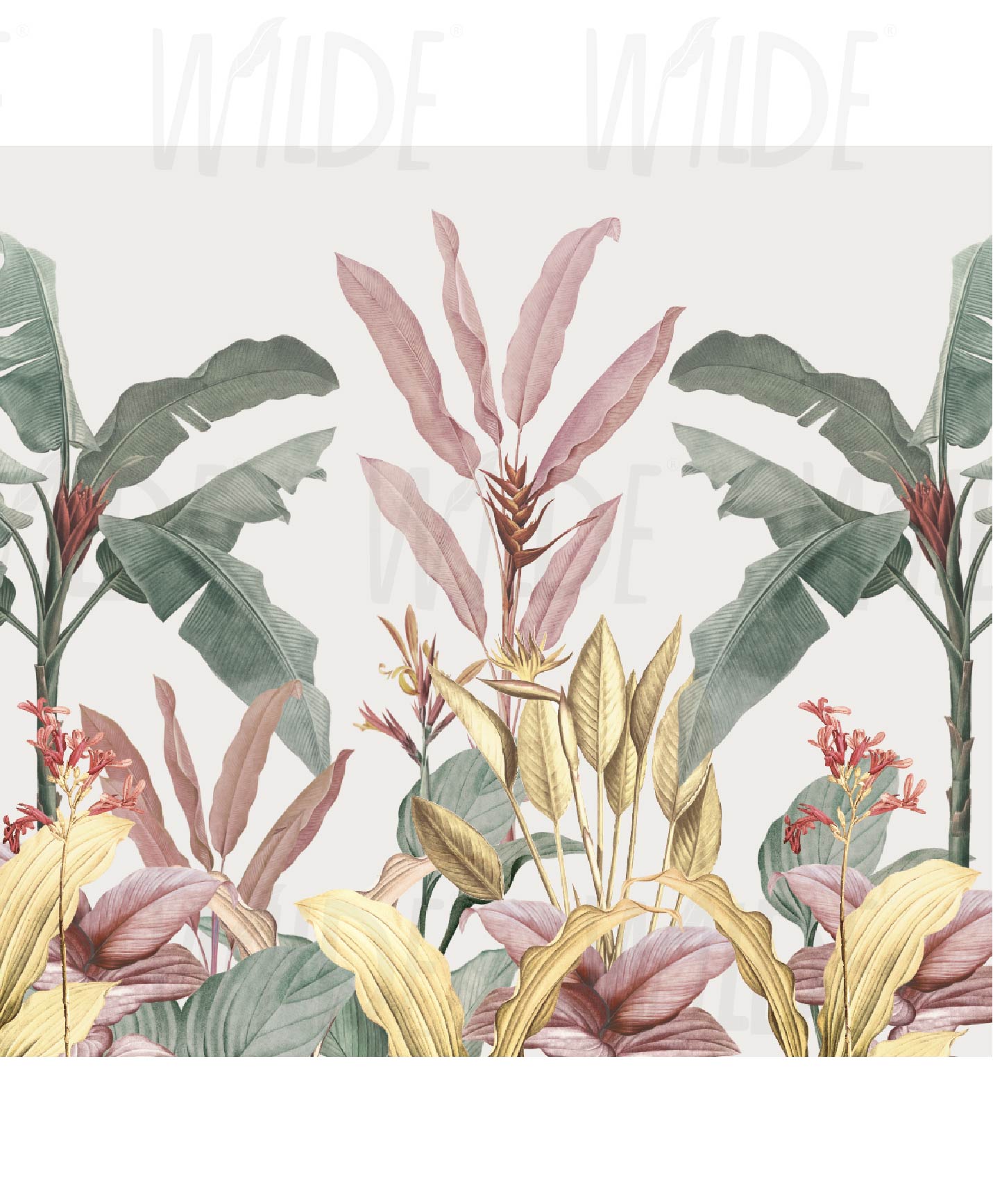 Birds of Paradise, Tropical Wallpaper